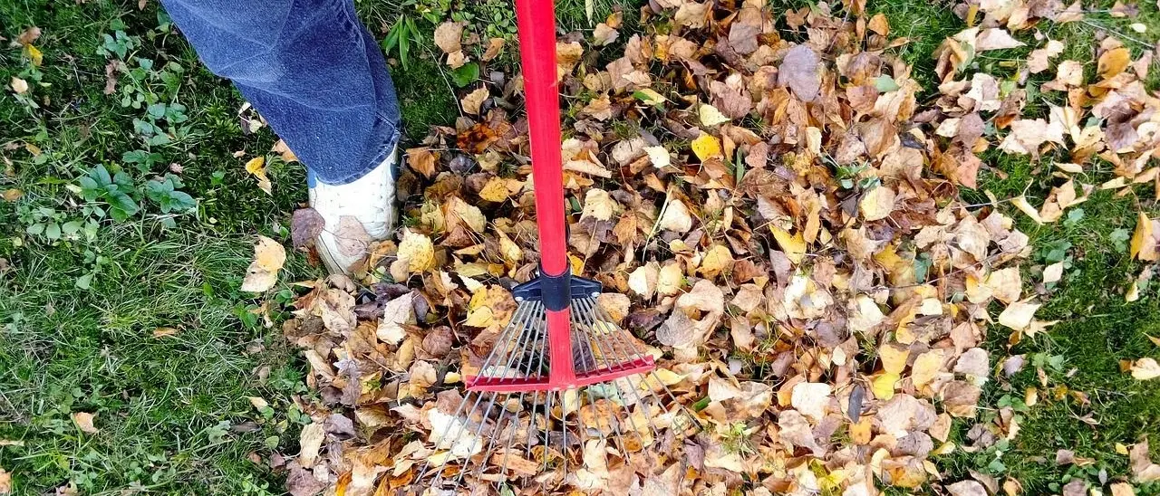 Isola Capo Rizzuto, chi ha debiti con il Comune per Imu, Tari e Tasi potrà pagare ripulendo strade e aree verdi