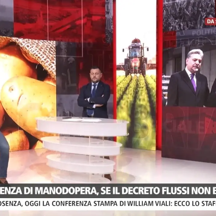 Agire ora per salvare il futuro: a Dentro la Notizia le possibili soluzioni per ripopolare i campi e salvare le eccellenze di Calabria
