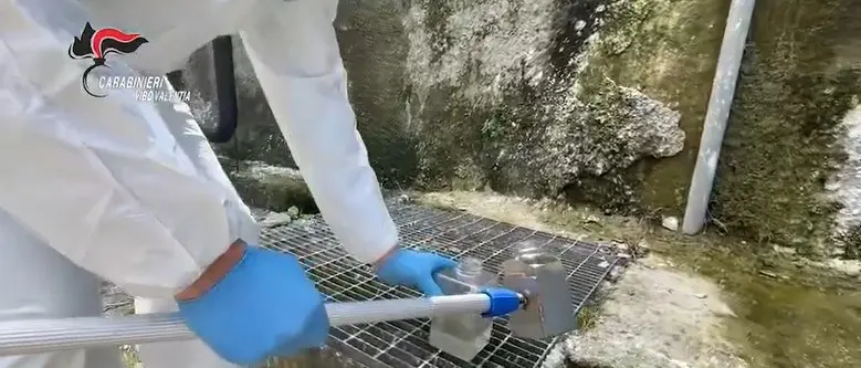 «Arrivano i carabinieri per controllare i rifiuti»: le soffiate dall’Arpacal per aiutare l’Eco Call dei Guarascio