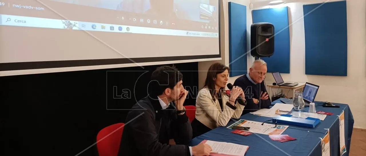 Il cinema in biblioteca, fino a ottobre a Lamezia grandi film internazionali in lingua originale