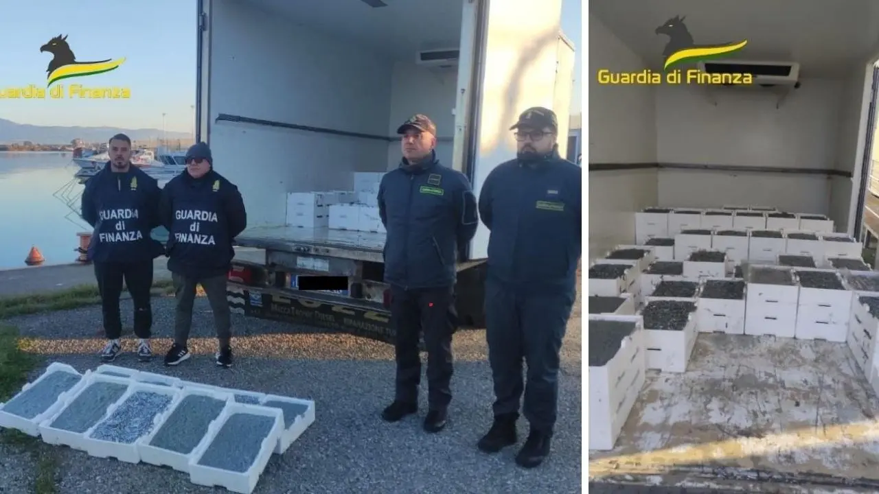 Corigliano Rossano, sequestrati oltre 17 quintali di “bianchetto” dal Roan di Vibo Valentia