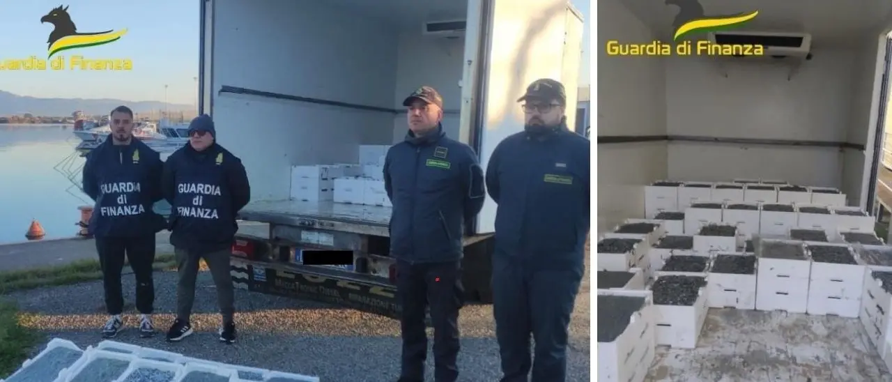 Corigliano Rossano, sequestrati oltre 17 quintali di “bianchetto” dal Roan di Vibo Valentia