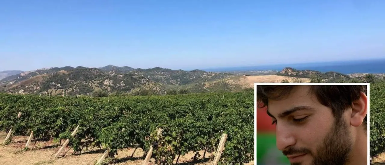 Il giovane Leandro in guerra per la Calabria, le sue piante tagliate e appese a testa in giù: «Non mi piego, vado avanti»