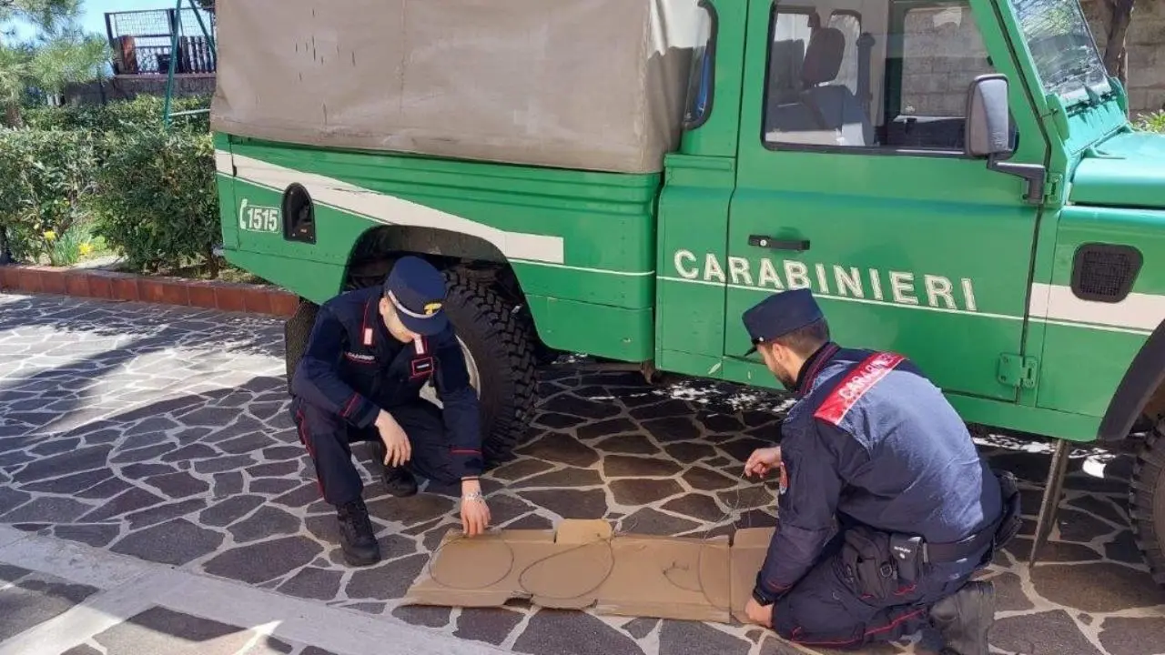 Trappole per la caccia illegale scoperte nel parco della Sila, denunciato un bracconiere crotonese