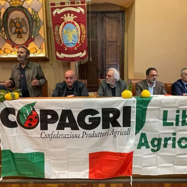 Bergamotto, continua la battaglia per l’Igp: «Mancanza di rispetto verso gli agricoltori, atto di prepotenza dalla Regione»