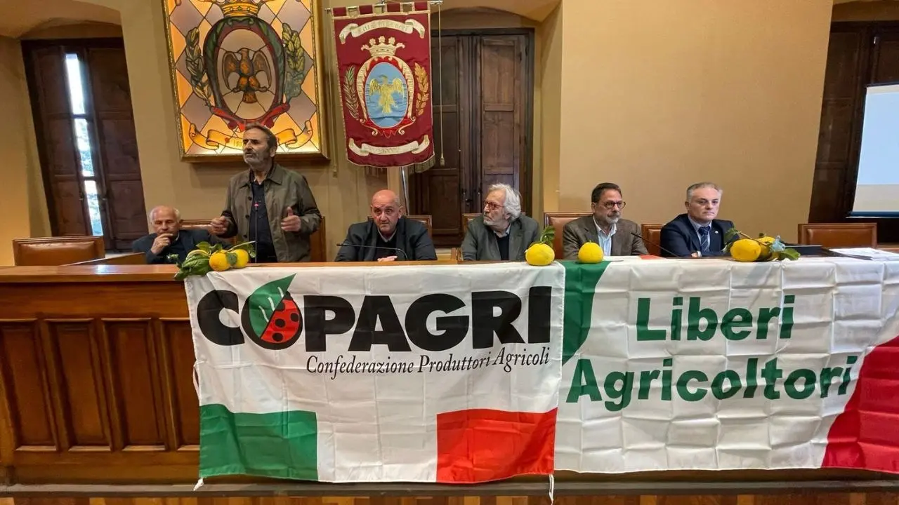 Bergamotto, continua la battaglia per l’Igp: «Mancanza di rispetto verso gli agricoltori, atto di prepotenza dalla Regione»