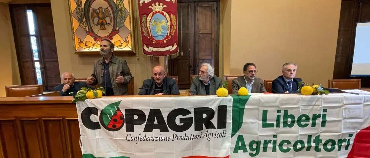 Bergamotto, continua la battaglia per l’Igp: «Mancanza di rispetto verso gli agricoltori, atto di prepotenza dalla Regione»