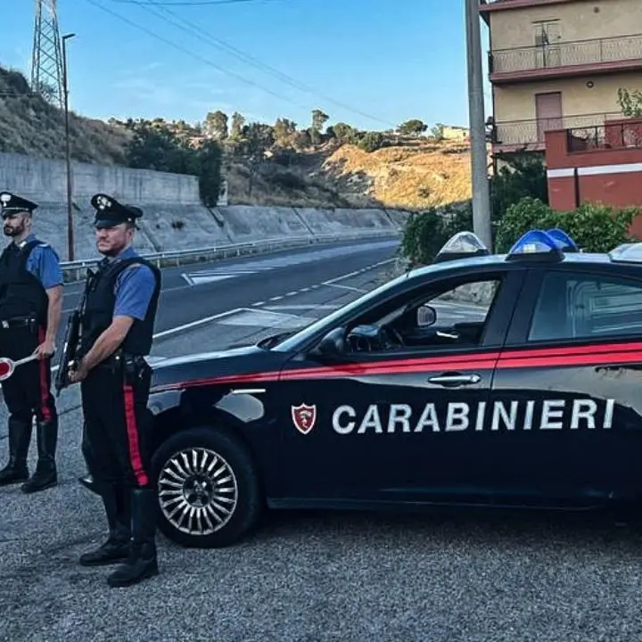 Controlli a tappeto dei carabinieri nel Reggino: elevate denunce e sanzioni