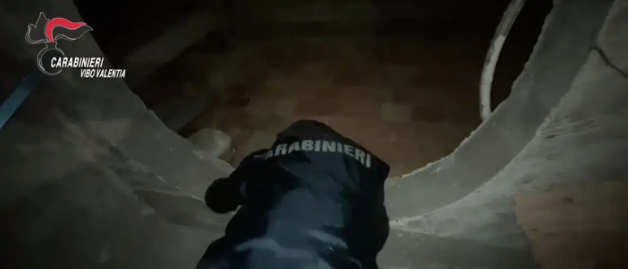 Narcotraffico nel Vibonese, la marijuana scadente degli albanesi e il confronto a mano armata tra Mancuso e il boss Accorinti