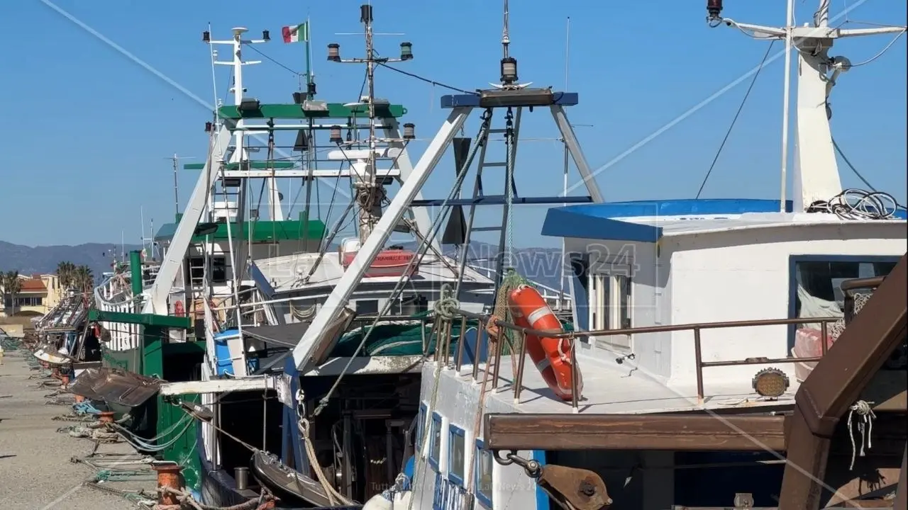 Corigliano Rossano, riparte la società Meris: al lavoro contro le infiltrazioni mafiose nel mercato ittico di Schiavonea