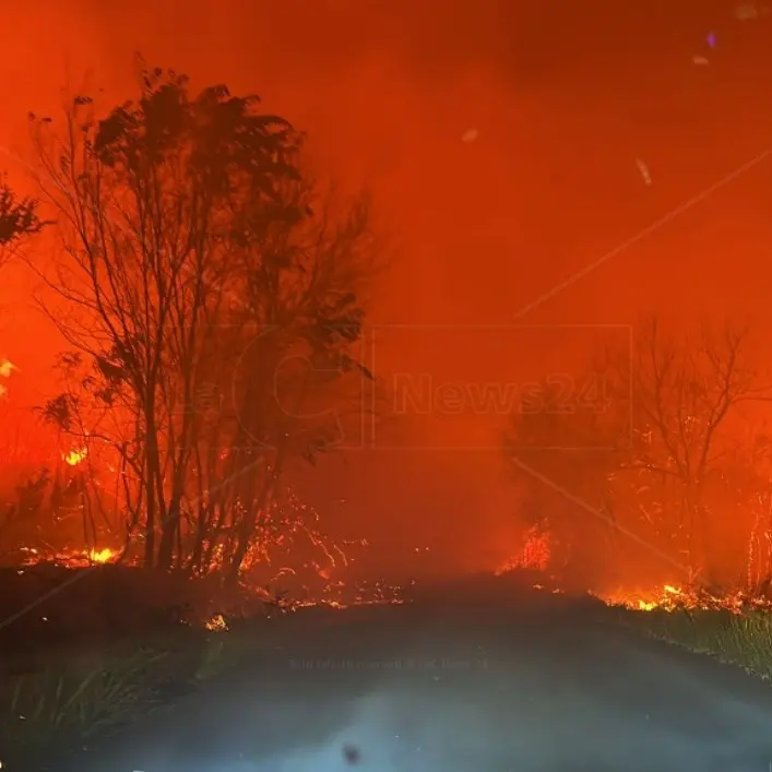 Lotta agli incendi, 2 milioni e mezzo per acquistare droni e formare gli addetti: passa la proposta di Occhiuto e Gallo