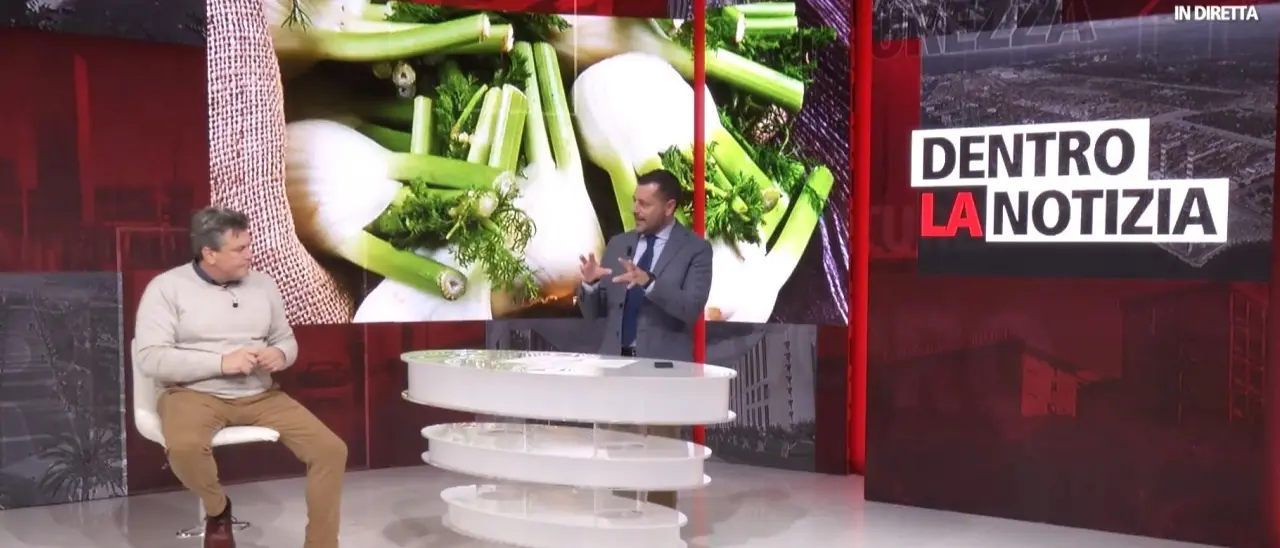 La sfida dei piccoli imprenditori ai giganti dell’agroalimentare: ecco la Calabria che non si piega alle multinazionali