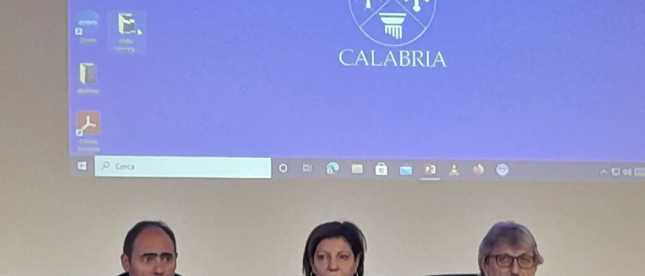 Sanità Calabria, Azienda Zero e Consip insieme illustrano iniziative e novità in Regione