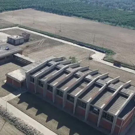 Il Consiglio di Stato dà ragione al Comune di Corigliano Rossano: il Palazzo dello sport Insiti va sgomberato