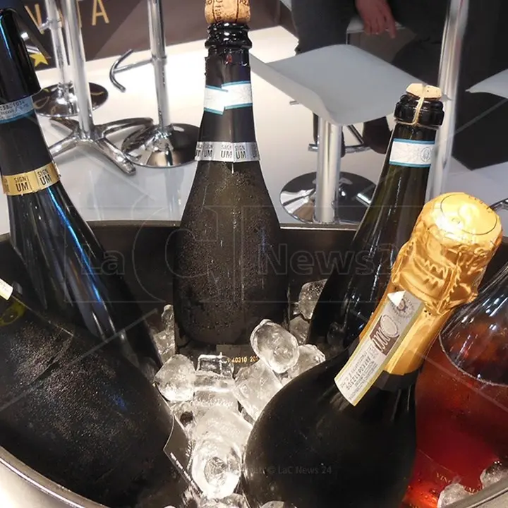La piccola e nobile Calabria del vino alla 56esima edizione del Vinitaly: collettiva della Regione al Padiglione 12 di Veronafiere