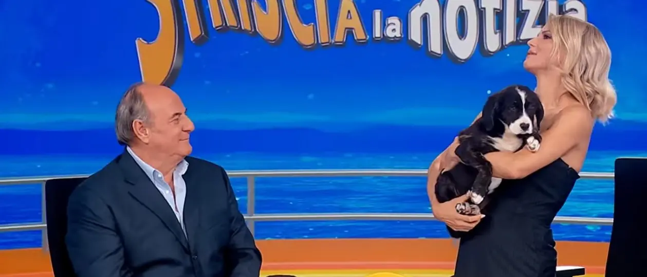 Dalla Calabria a Striscia la notizia, la nuova mascotte è una cucciola proveniente da Taurianova