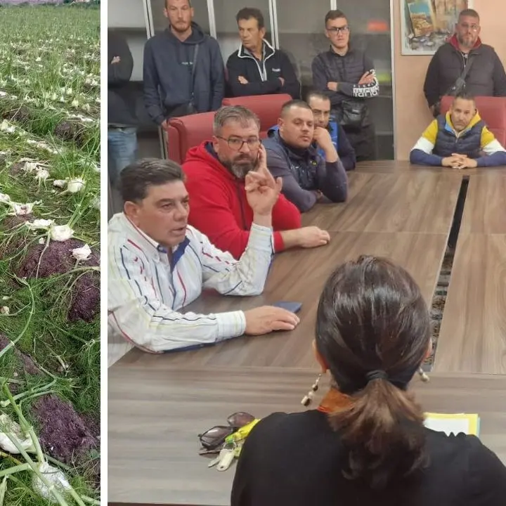 Campi senz’acqua e aziende al collasso, gli agricoltori di Isola Capo Rizzuto vanno dal sindaco e annunciano la chiusura delle attività