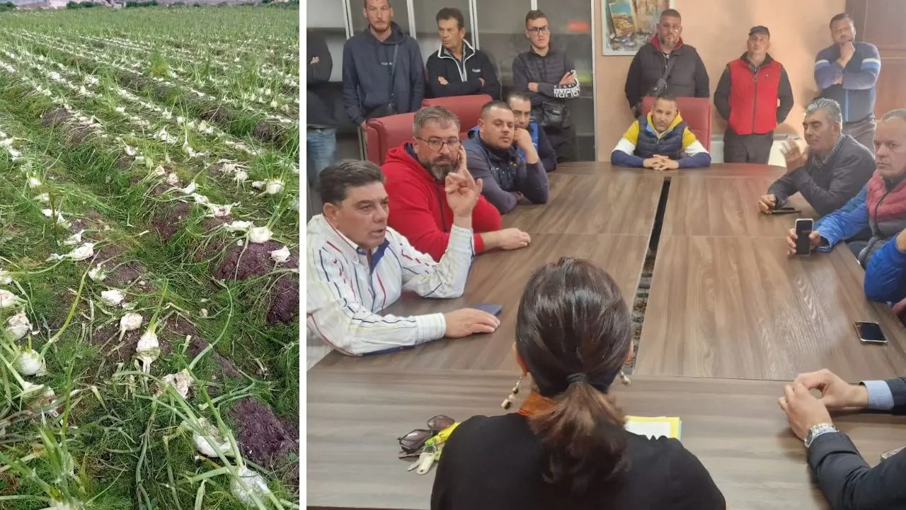 Campi senz’acqua e aziende al collasso, gli agricoltori di Isola Capo Rizzuto vanno dal sindaco e annunciano la chiusura delle attività