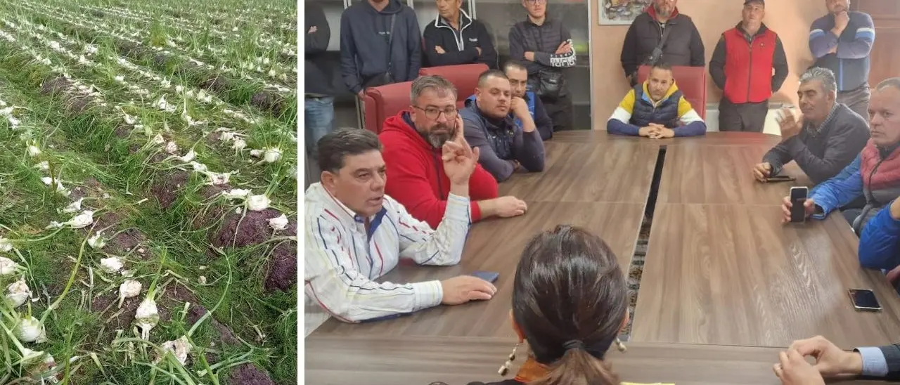 Campi senz’acqua e aziende al collasso, gli agricoltori di Isola Capo Rizzuto vanno dal sindaco e annunciano la chiusura delle attività