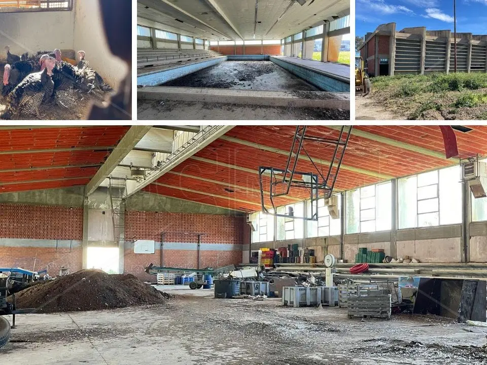 C’era anche un allevamento di tacchini nel palazzetto dello Sport di Insiti restituito al Comune di Corigliano Rossano