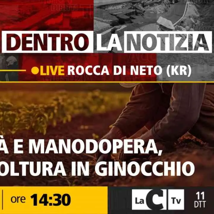 L’agricoltura calabrese in ginocchio per siccità e mancanza di manodopera: focus a Dentro la Notizia