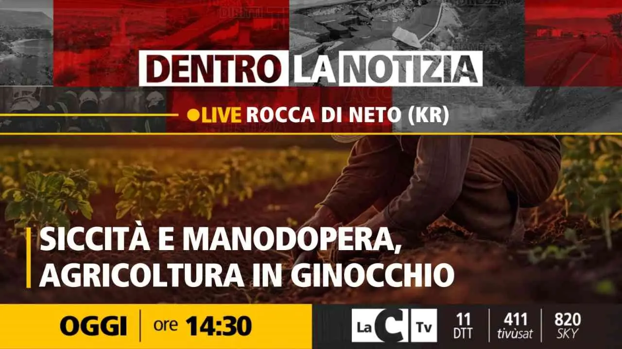 L’agricoltura calabrese in ginocchio per siccità e mancanza di manodopera: focus a Dentro la Notizia