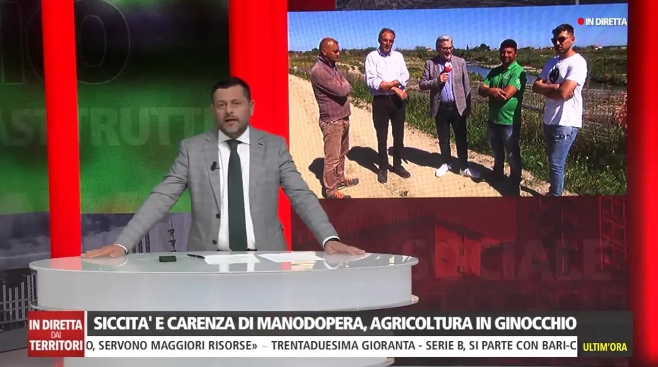 In Calabria è già emergenza siccità, agricoltori in allarme. Giovinazzo (Consorzio di bonifica): «Siamo al lavoro»