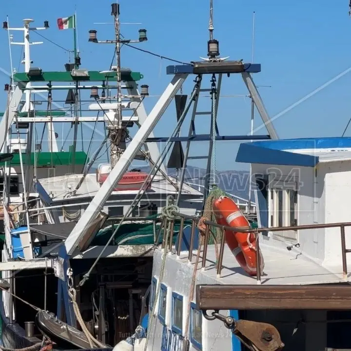 A Corigliano Rossano la politica va a pesca di voti: scoppia la “guerra della sardella”