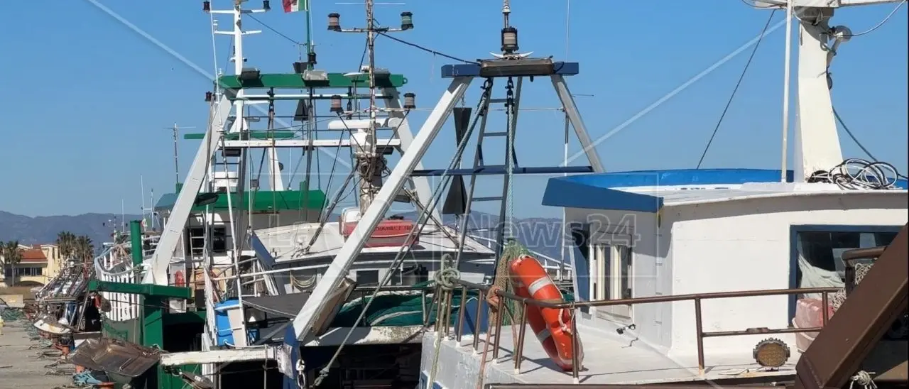 A Corigliano Rossano la politica va a pesca di voti: scoppia la “guerra della sardella”