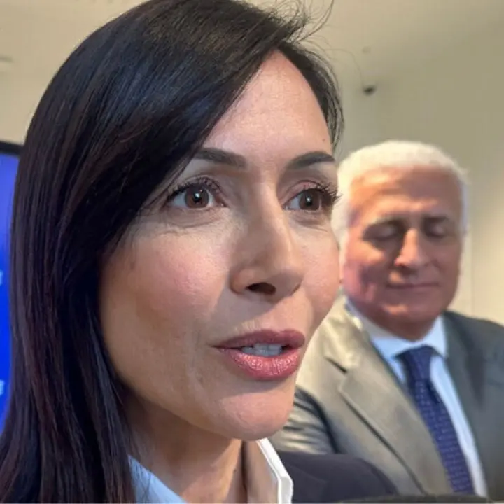 A Lamezia Terme il congresso di Azione, la presidente Carfagna: «Qui è stato fatto un lavoro straordinario»