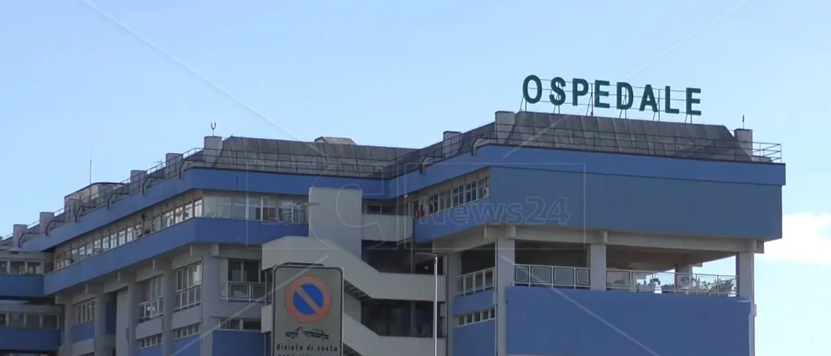 Il Pd di Lamezia replica a Battistini (Asp): «Le lunghe liste d’attesa per una visita smentiscono la sua versione»