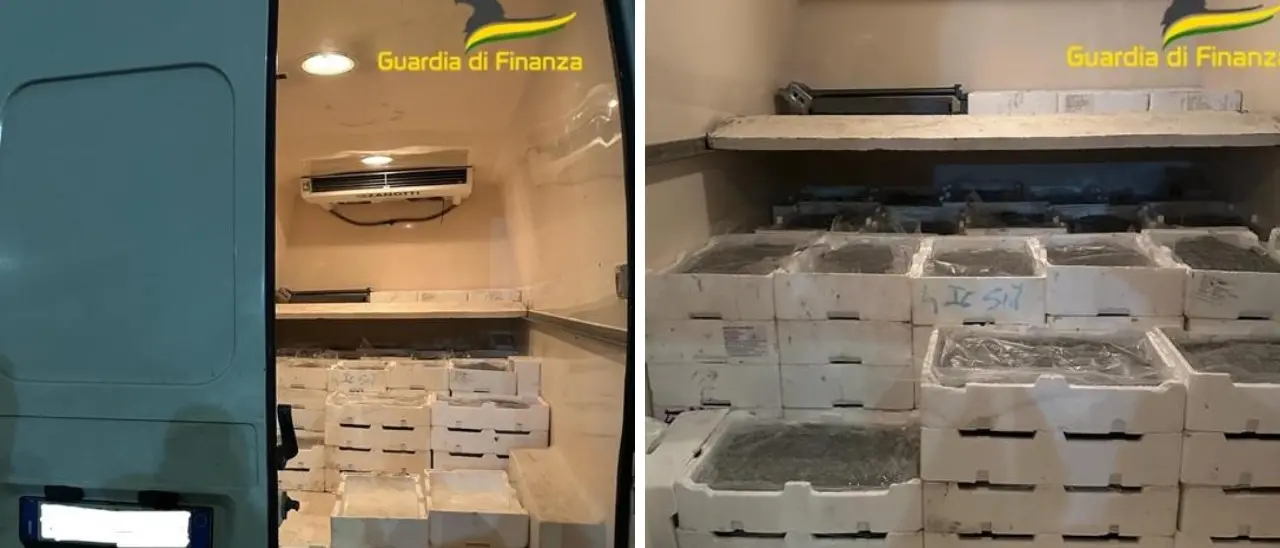 Pesca di frodo, sequestrati nel Cosentino oltre 800 chili di novellame di sarda proveniente dalla Puglia