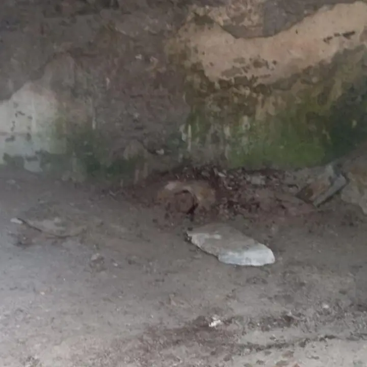 Giallo in Val d’Aosta, donna trovata morta in una chiesetta diroccata e sconsacrata
