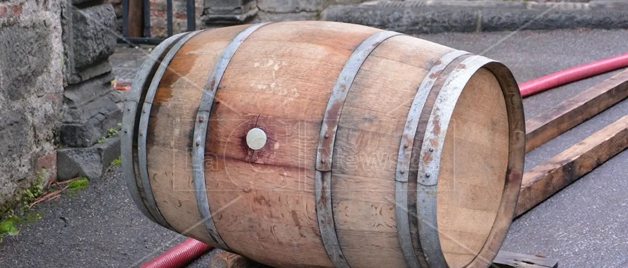 Coldiretti presenterà al Vinitaly la prima indagine sull’enoturismo, fenomeno in costante ascesa nelle campagne italiane