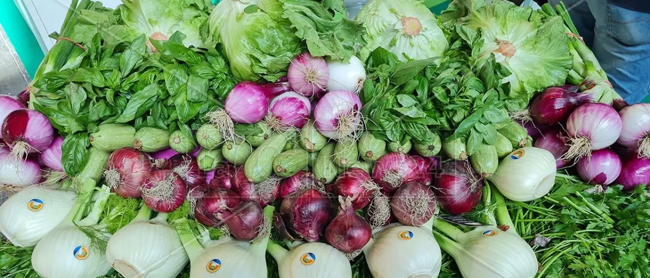 Nel 2023 l’export delle regioni italiane ha registrato gli incrementi più alti in Campania e Calabria che però resta ferma allo 0,1% del totale