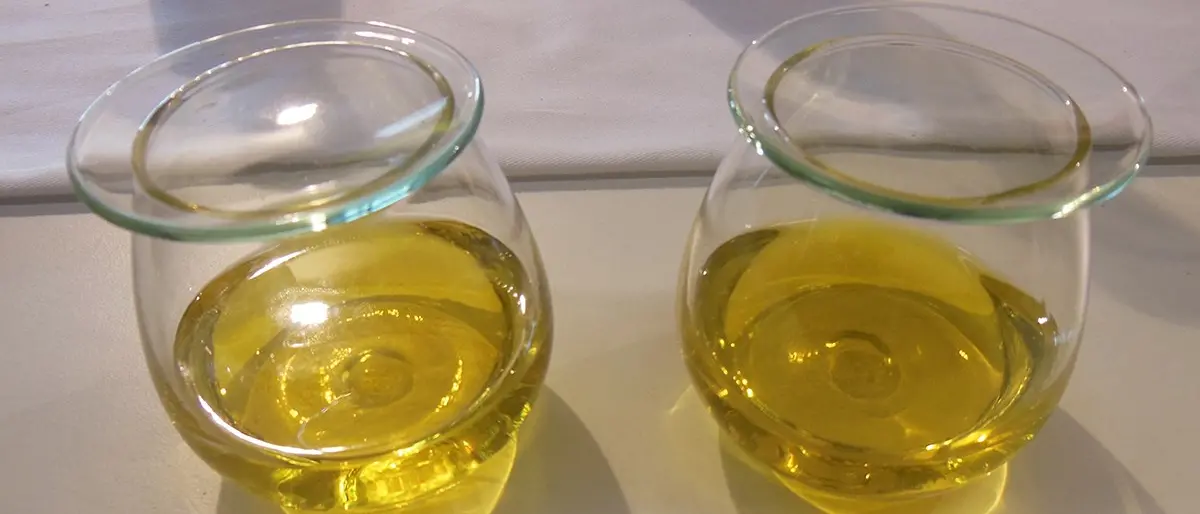 Vinitaly, il Crea presenta le carte degli oli regionali di Calabria, Abruzzo e Sardegna