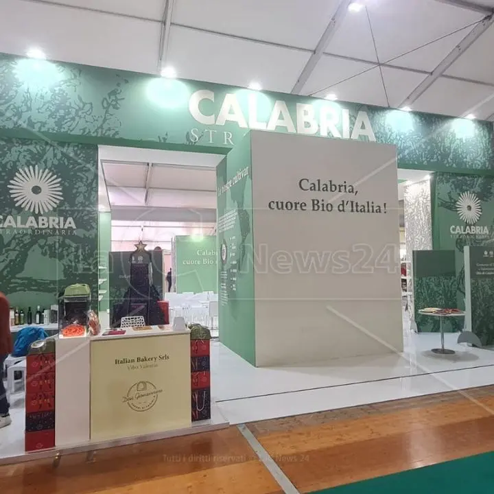 Vinitaly 2024, nella collettiva Calabria del Sol un viaggio tra gli oli di cultivar autoctone