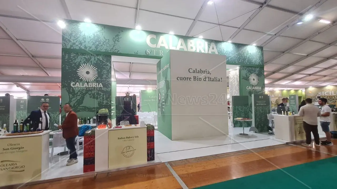 Vinitaly 2024, nella collettiva Calabria del Sol un viaggio tra gli oli di cultivar autoctone