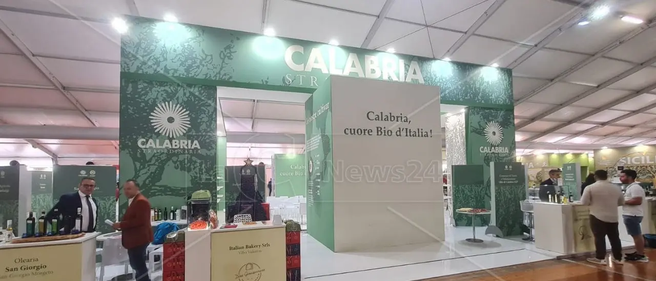 Vinitaly 2024, nella collettiva Calabria del Sol un viaggio tra gli oli di cultivar autoctone