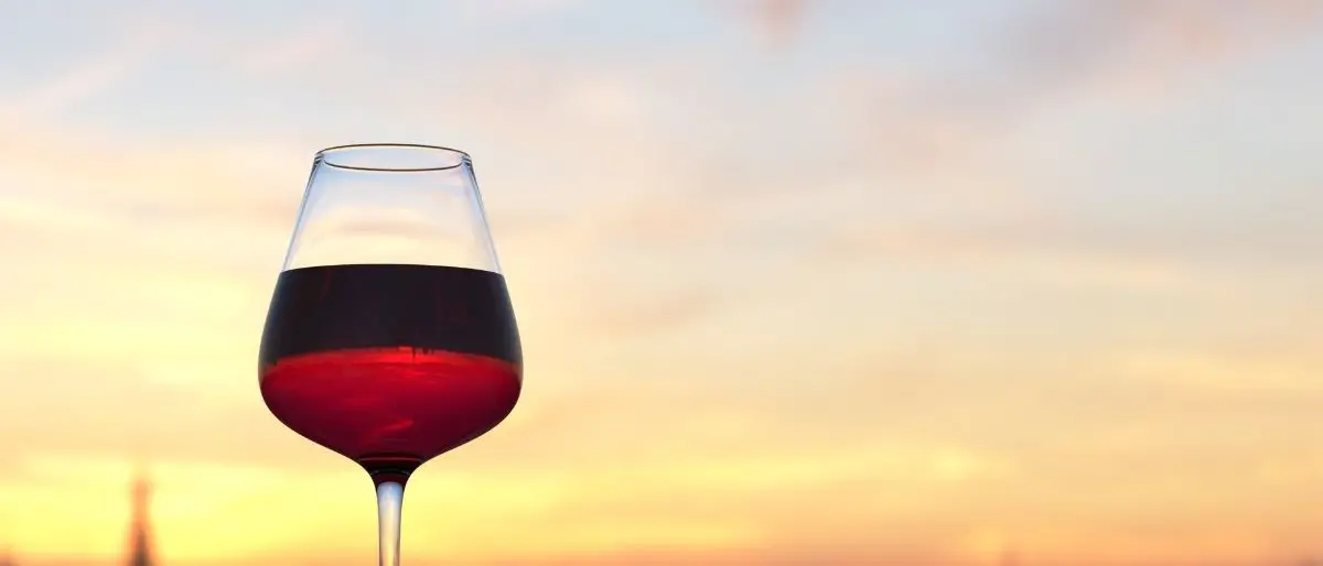 In viaggio tra vigne e cantine, numeri e tendenze dell’enoturista italiano: l’iniziativa al Vinitaly