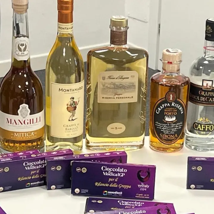 “Il Rinascimento della Grappa”, al Vinitaly l’evento dedicato al rilancio del distillato italiano per eccellenza