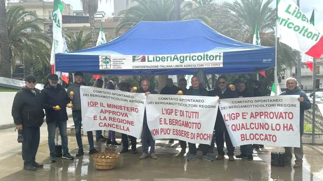 Bergamotto di Reggio Calabria, i produttori scrivono a Occhiuto e Gallo: «L’Igp è l’unica strada percorribile»