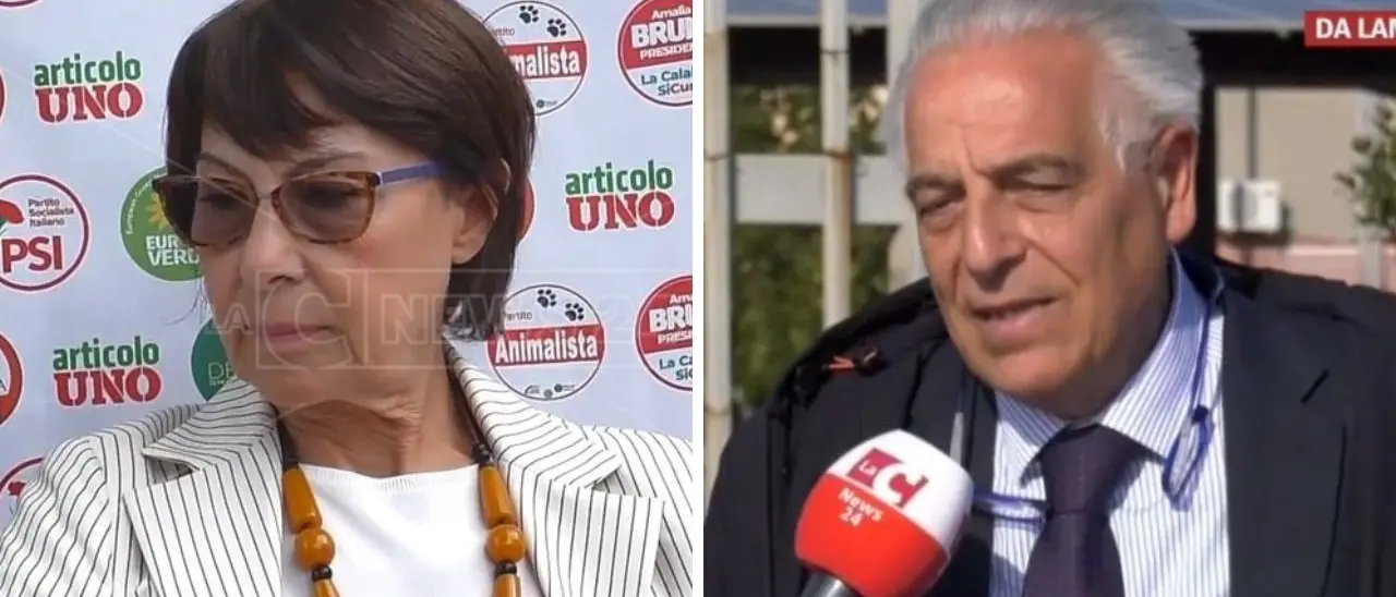 Resa dei conti nel Pd Lamezia, la consigliera regionale Bruni alla testa di 337 dissidenti contro il segretario cittadino Masi