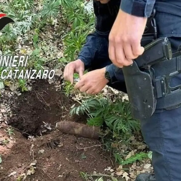 Maida, rinvenuta una granata della Seconda guerra mondiale: l’ordigno era completo di spoletta e di carica esplosiva