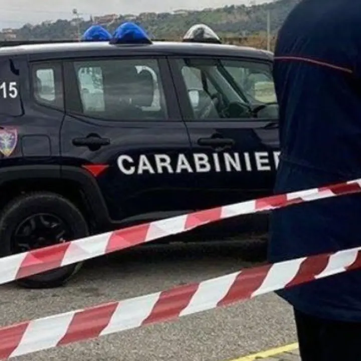 Chiusa macelleria abusiva a Melicucco, l’attività era priva di autorizzazioni: sanzioni per 8mila euro