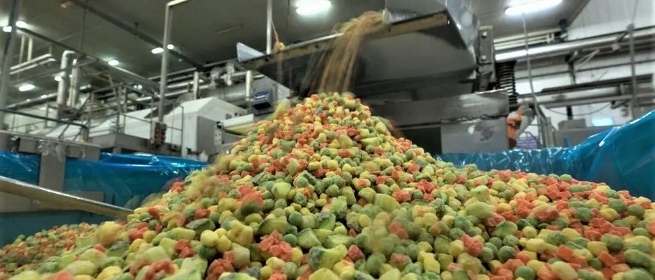 Mattarella nell’azienda calabrese che ha (re)inventato il minestrone surgelato: storia di un brevetto geniale