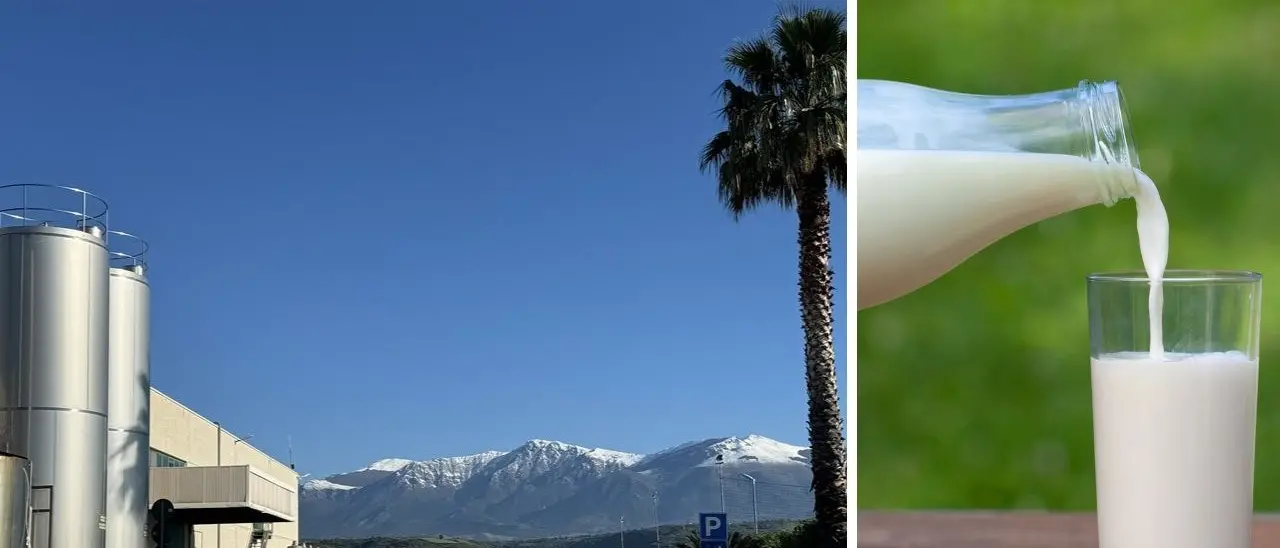 Mattarella nello stabilimento Assolac di Castrovillari: qui l’unione fa la forza di un’eccellenza calabrese