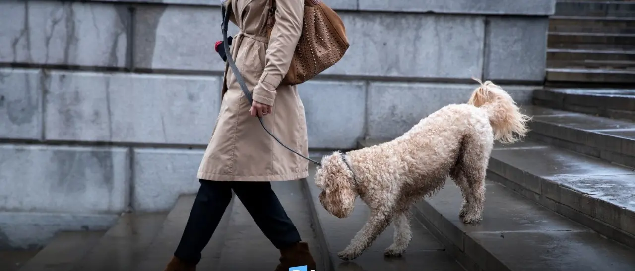 «Fuori i cani dalla chiesa», ma il padrone non ci sta e scrive alla Diocesi