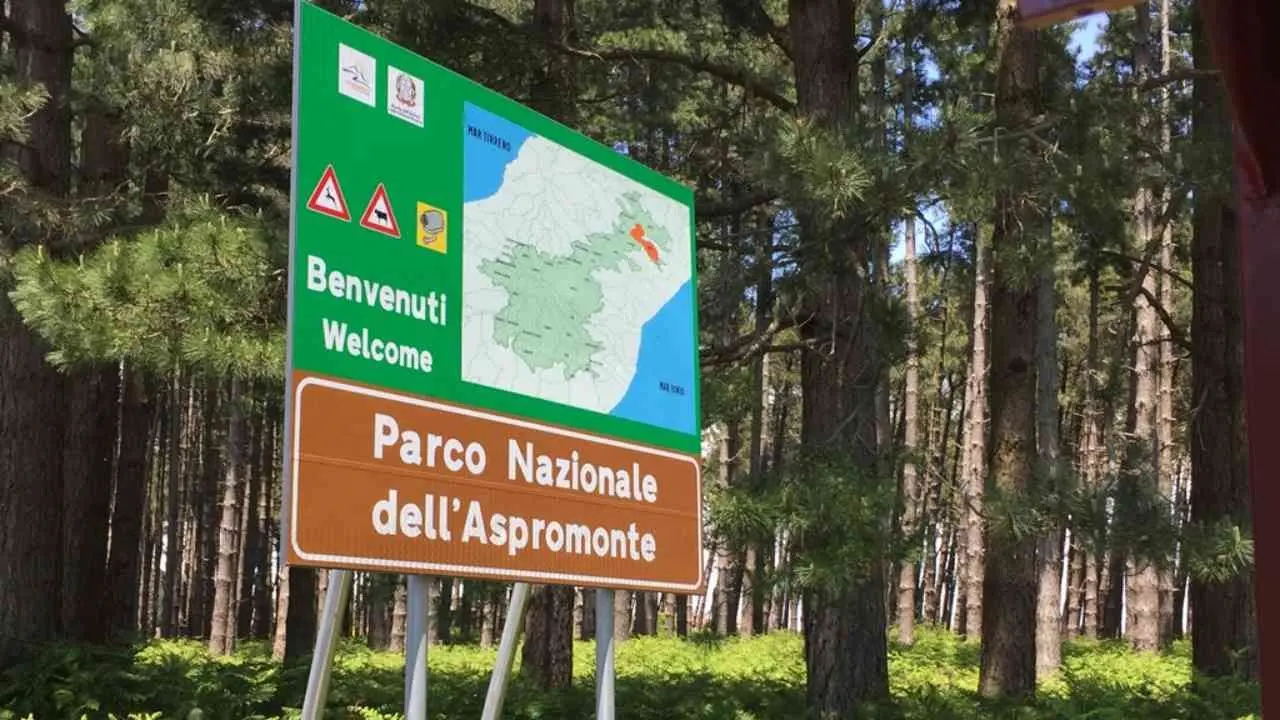 Parco d’Aspromonte, il Movimento 5 stelle: «Gli Lsu stabilizzati ora rischiano di essere estromessi»