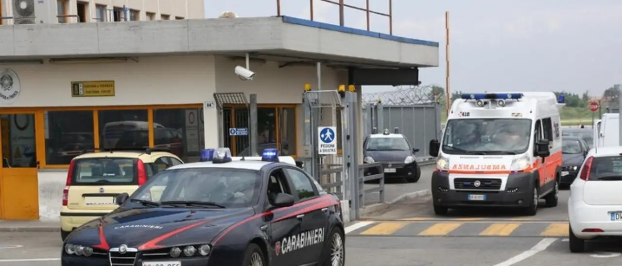 Colpisce la moglie con un martello e le stacca un orecchio a morsi, arrestato 40enne nel Cesenate